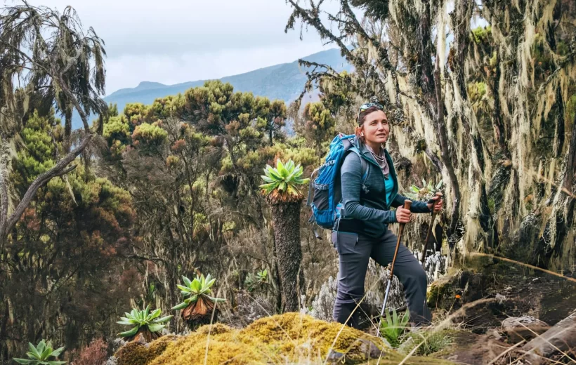 1 Day Mt Kilimanjaro via Marangu or Machame Route Private Hiking Tour